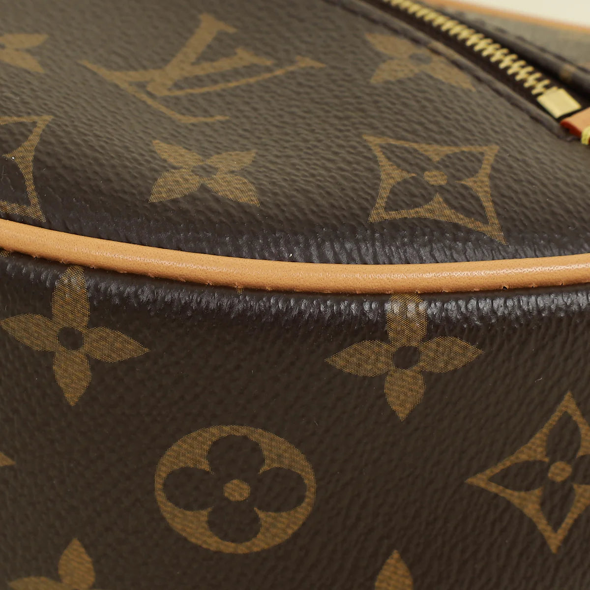 Louis Vuitton Monogram Loop Bag