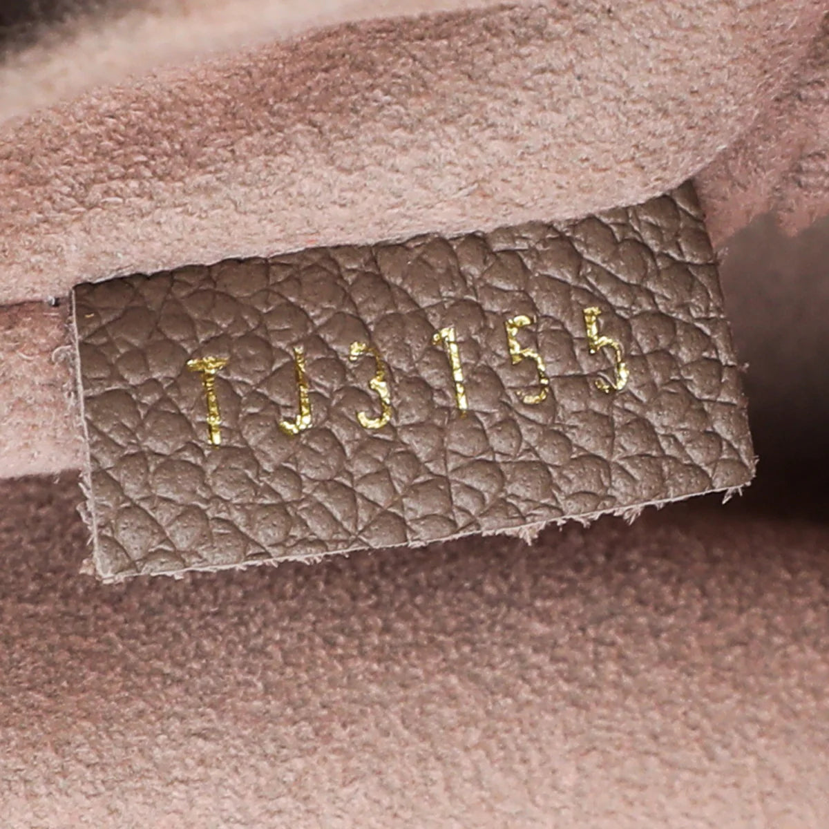 Louis Vuitton Taupe Monogram Empreinte Trocadero Bag