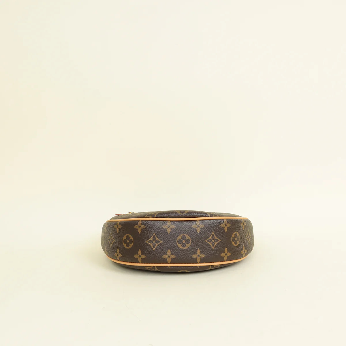 Louis Vuitton Monogram Loop Bag