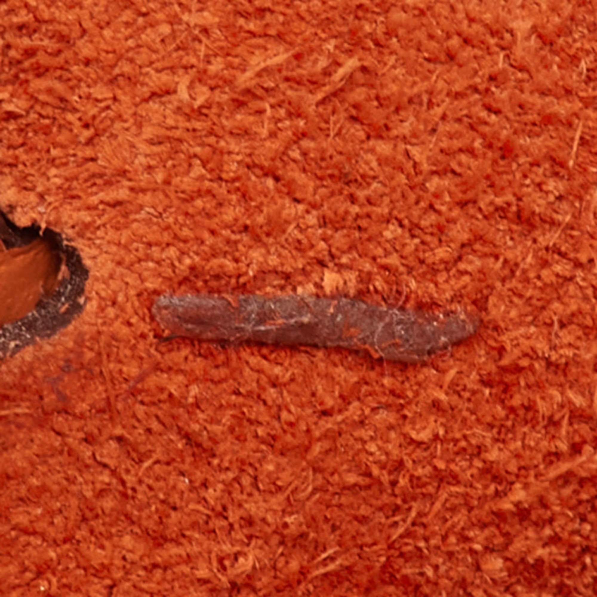 Hermes Evelyne Amazone TPM 16 Mango Taurillon Clemence Leather Crossbody Bag