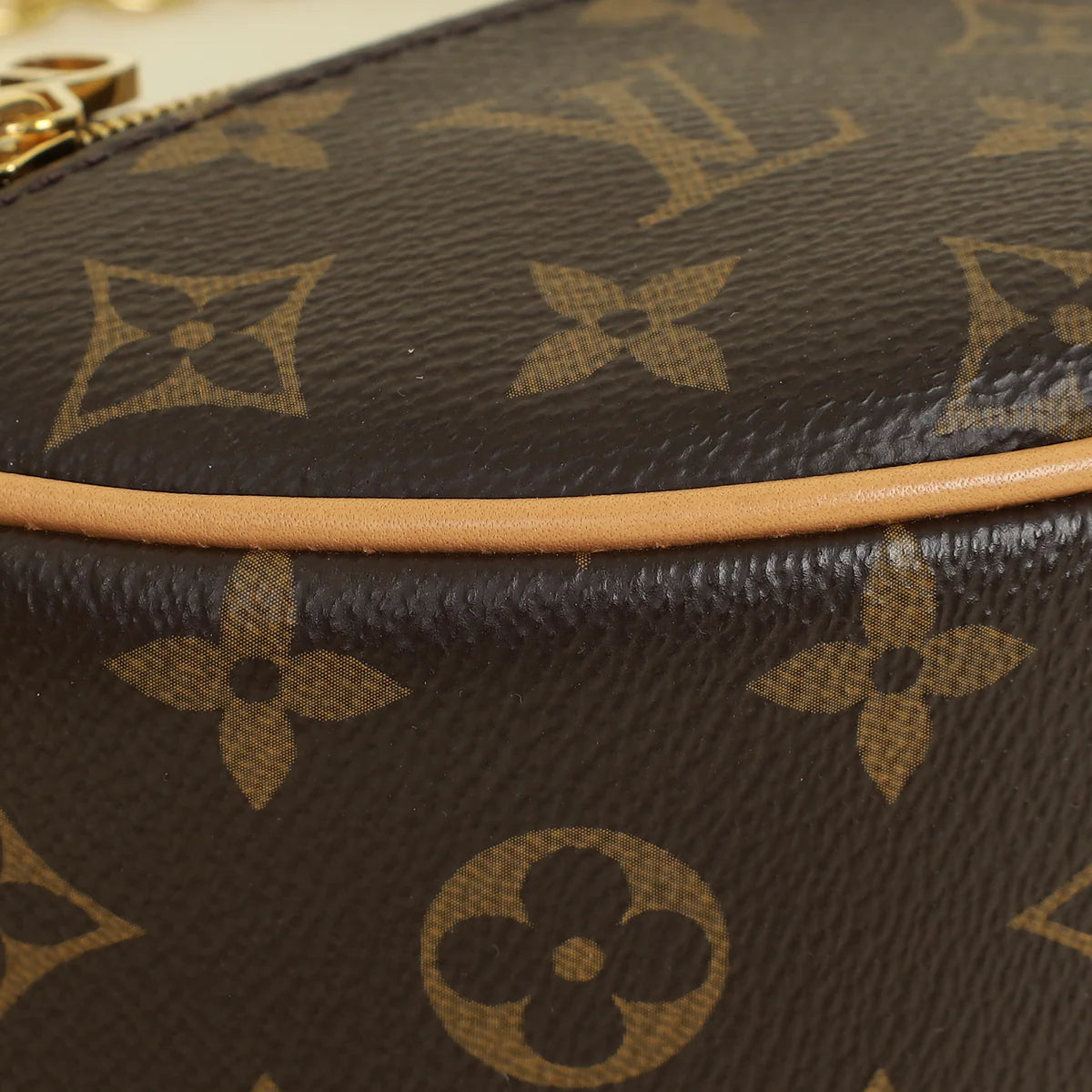 Louis Vuitton Monogram Loop Bag