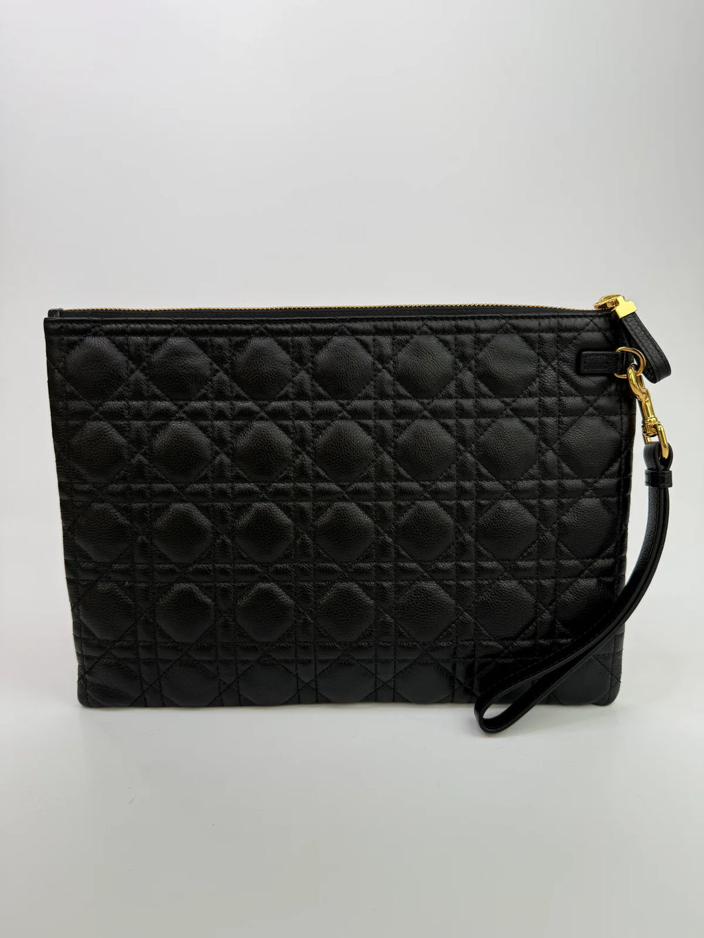 CHRISTIAN DIOR LARGE CARGO DAILY POUCH